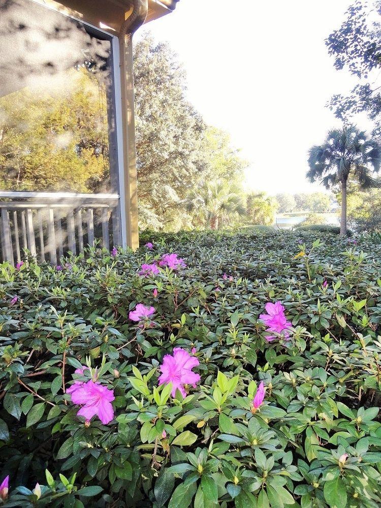 Thurston House Altamonte Springs Eksteriør bilde